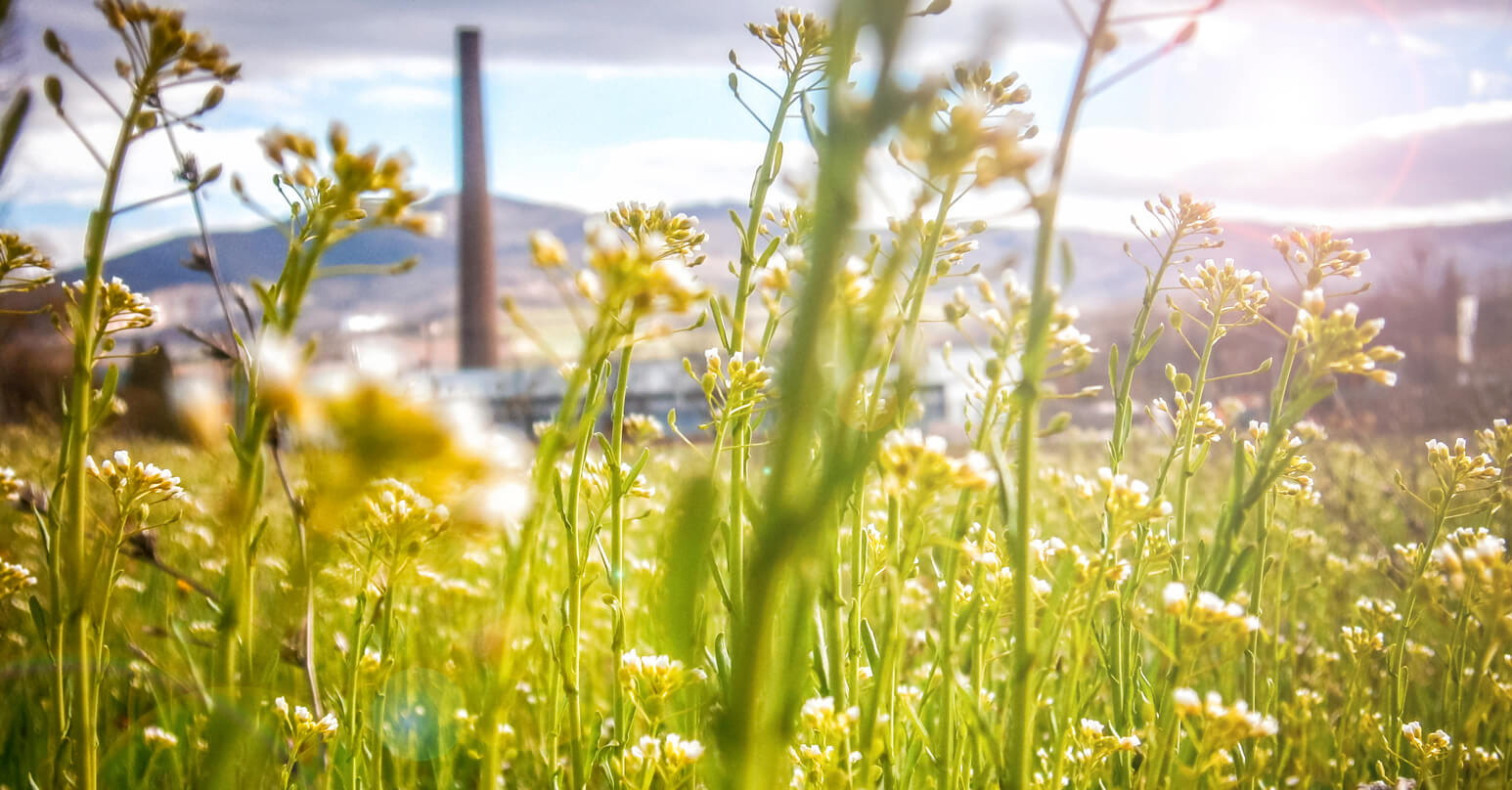 Utility Consulting and Engineering